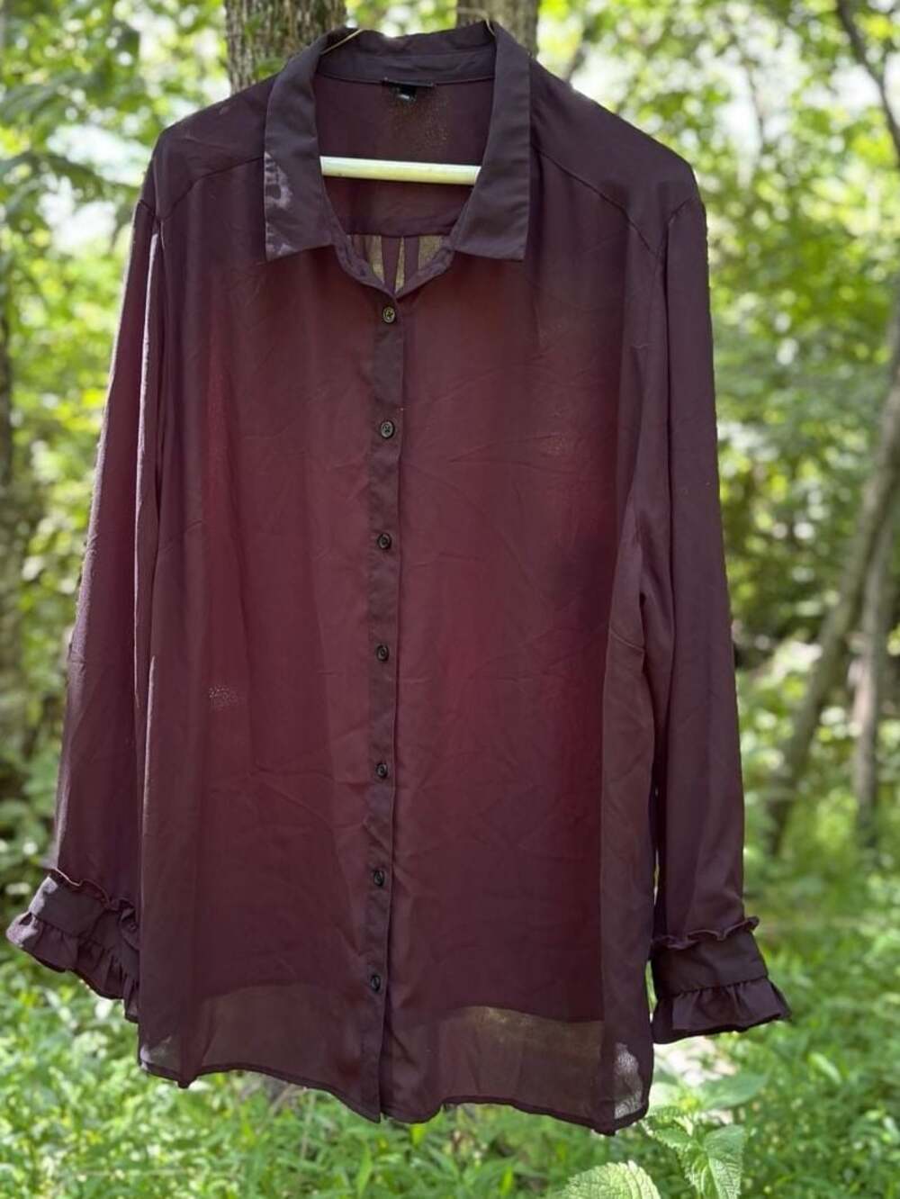 Sheer Black Button Down Blouse 3X